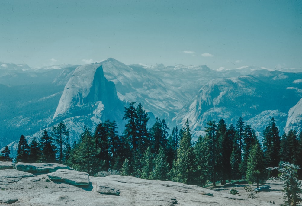 a view of a mountain range with trees in the foreground