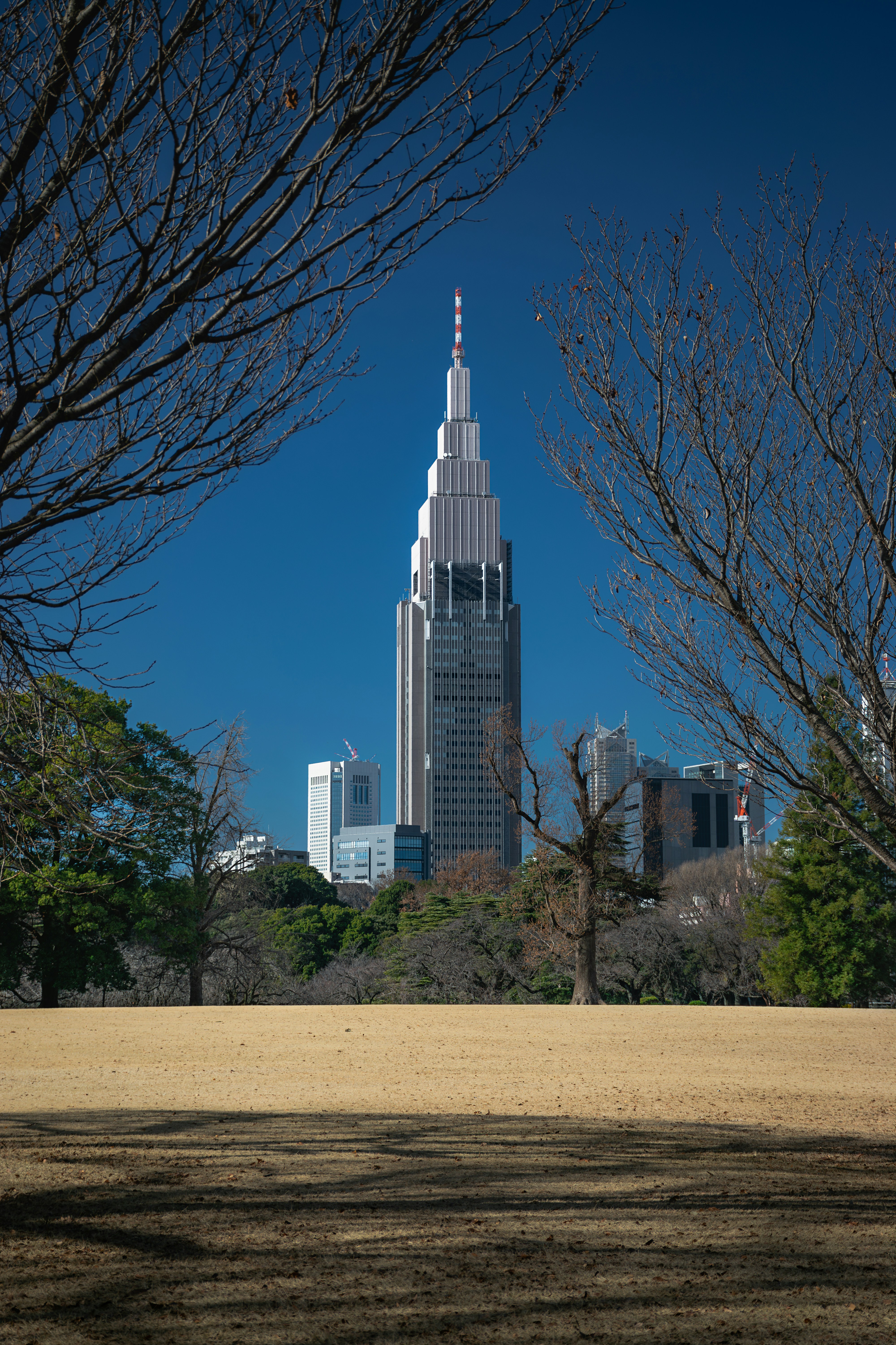 um edifício alto com uma torre no meio de um parque
