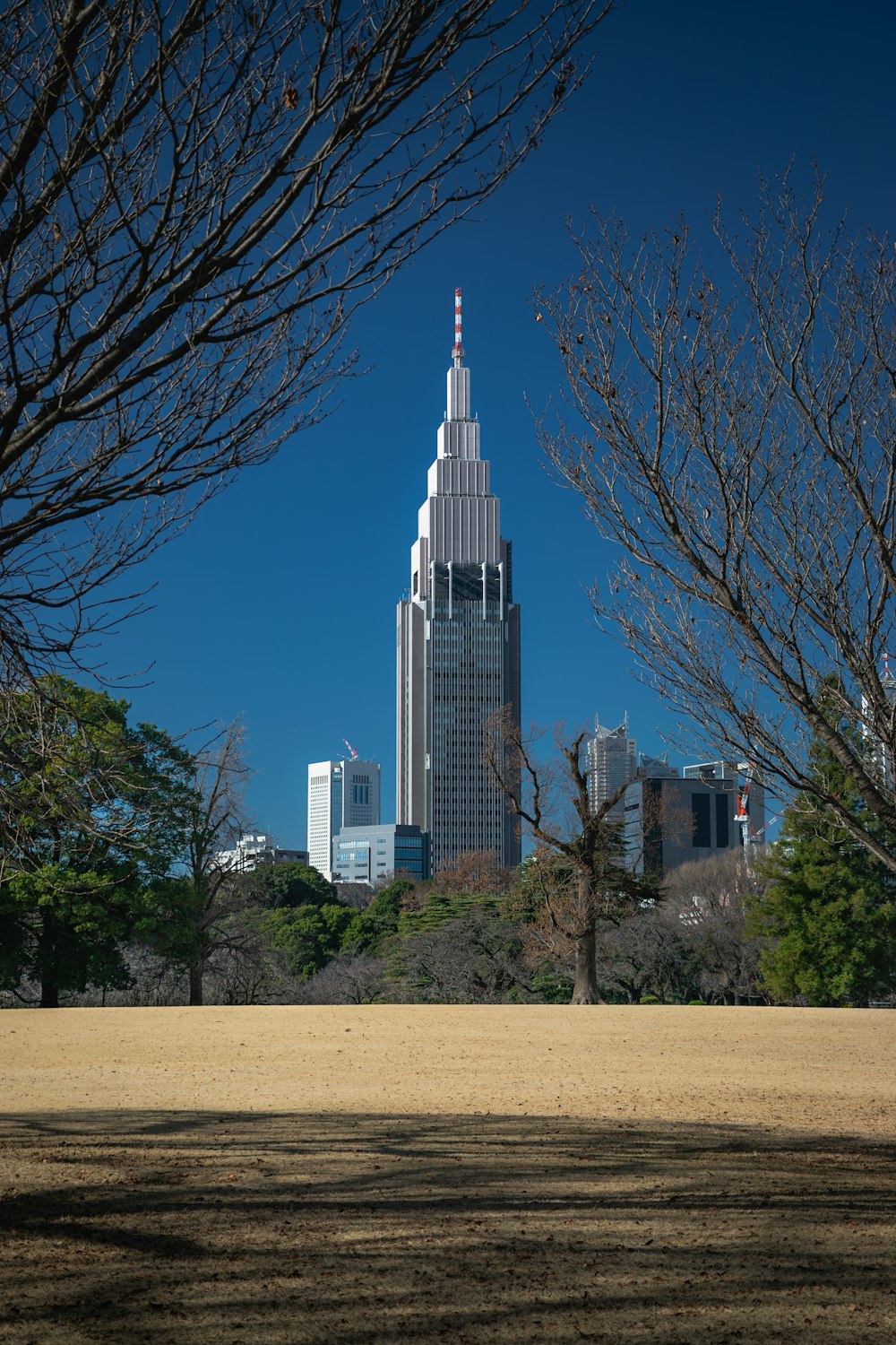 a tall building with a spire in the middle of a park