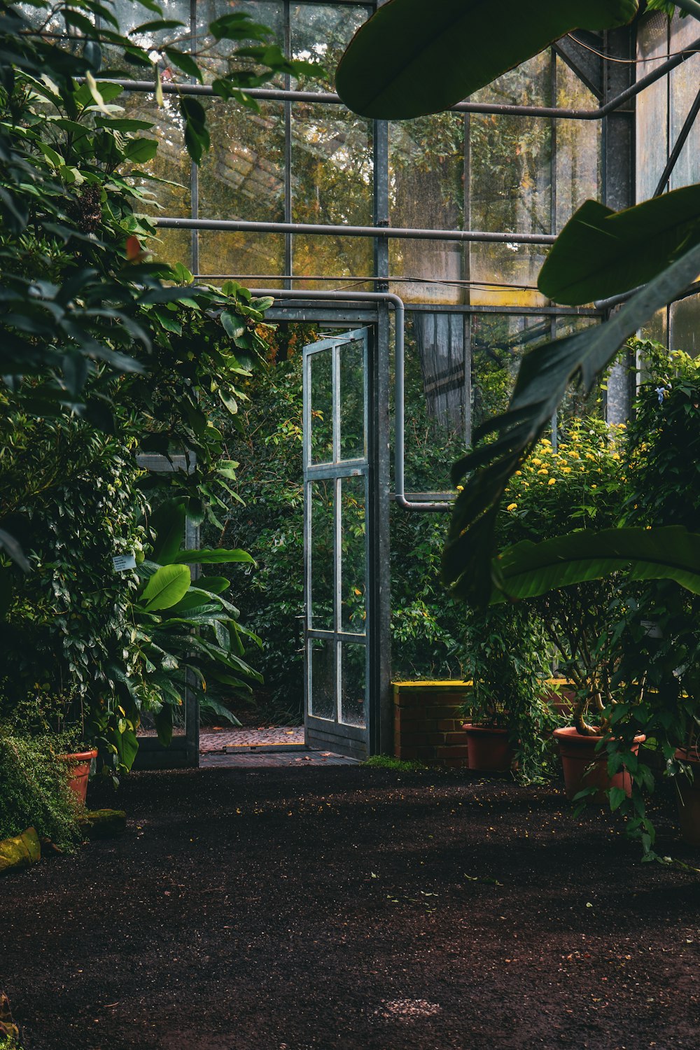 a green house with lots of plants inside of it