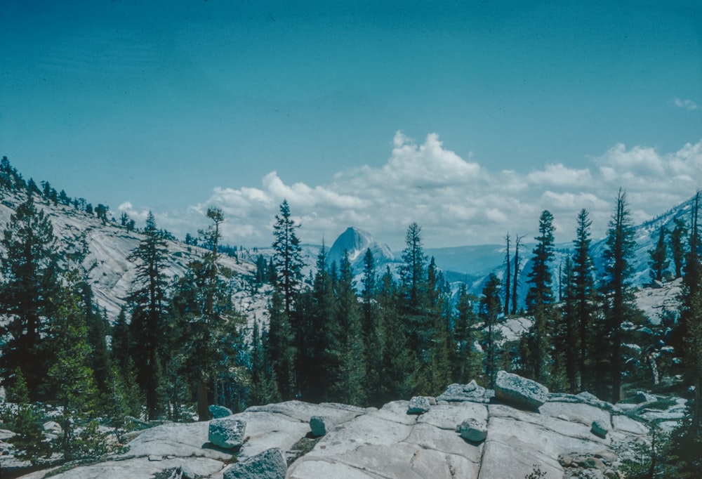 a rocky area with trees and mountains in the background