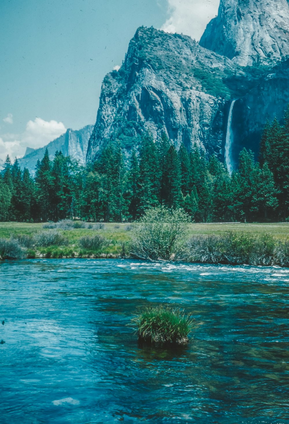 a river running through a lush green forest