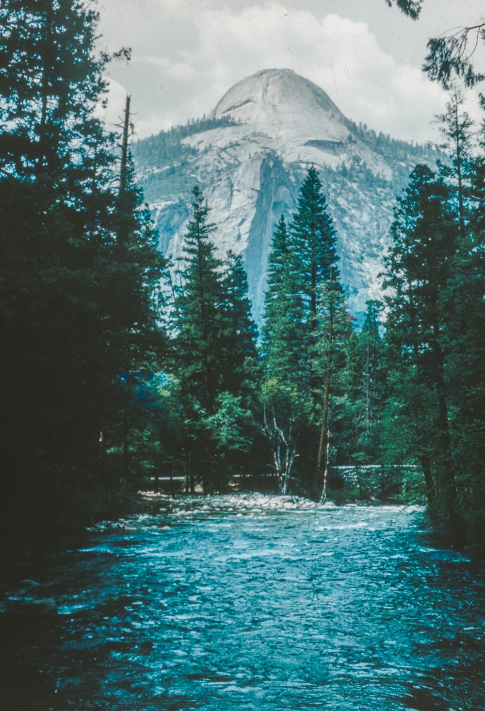 a river running through a forest with a mountain in the background