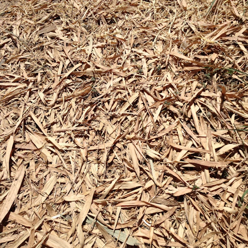a close up of a pile of wood chips