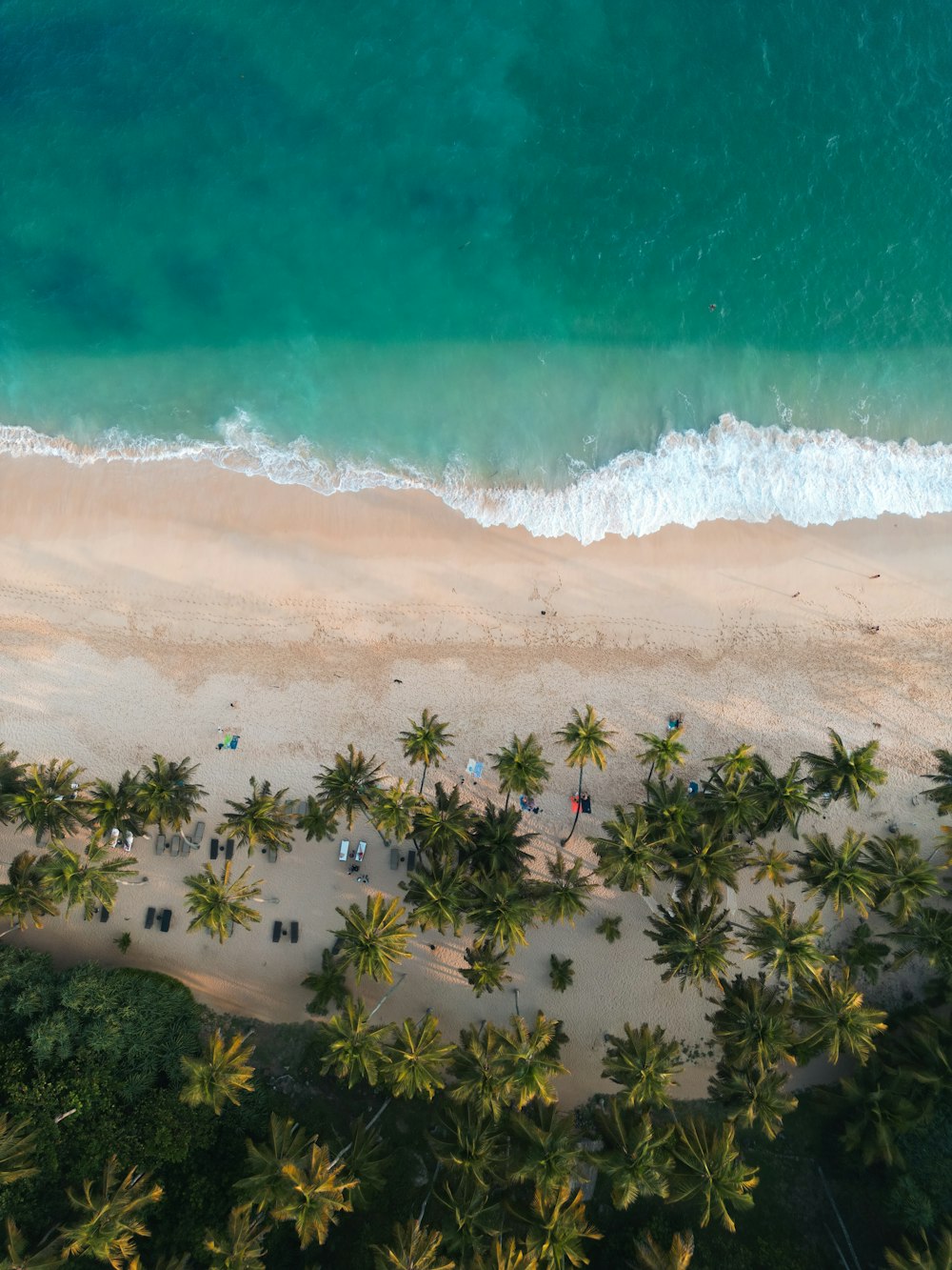 an aerial view of a beach with palm trees
