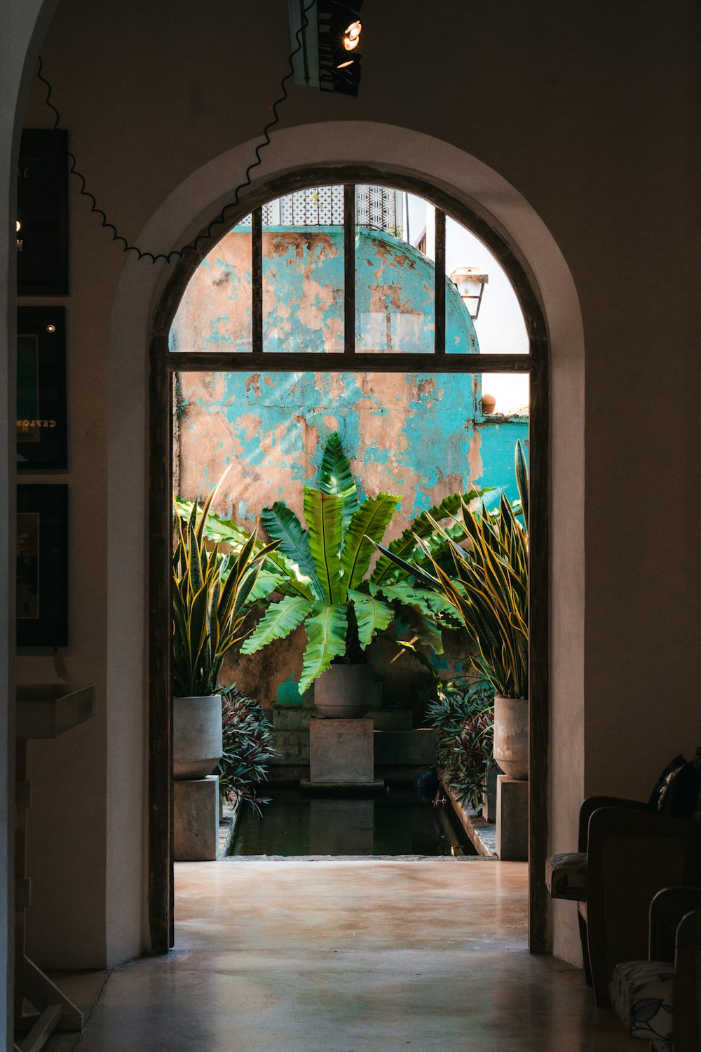 a doorway leading into a room with a potted plant