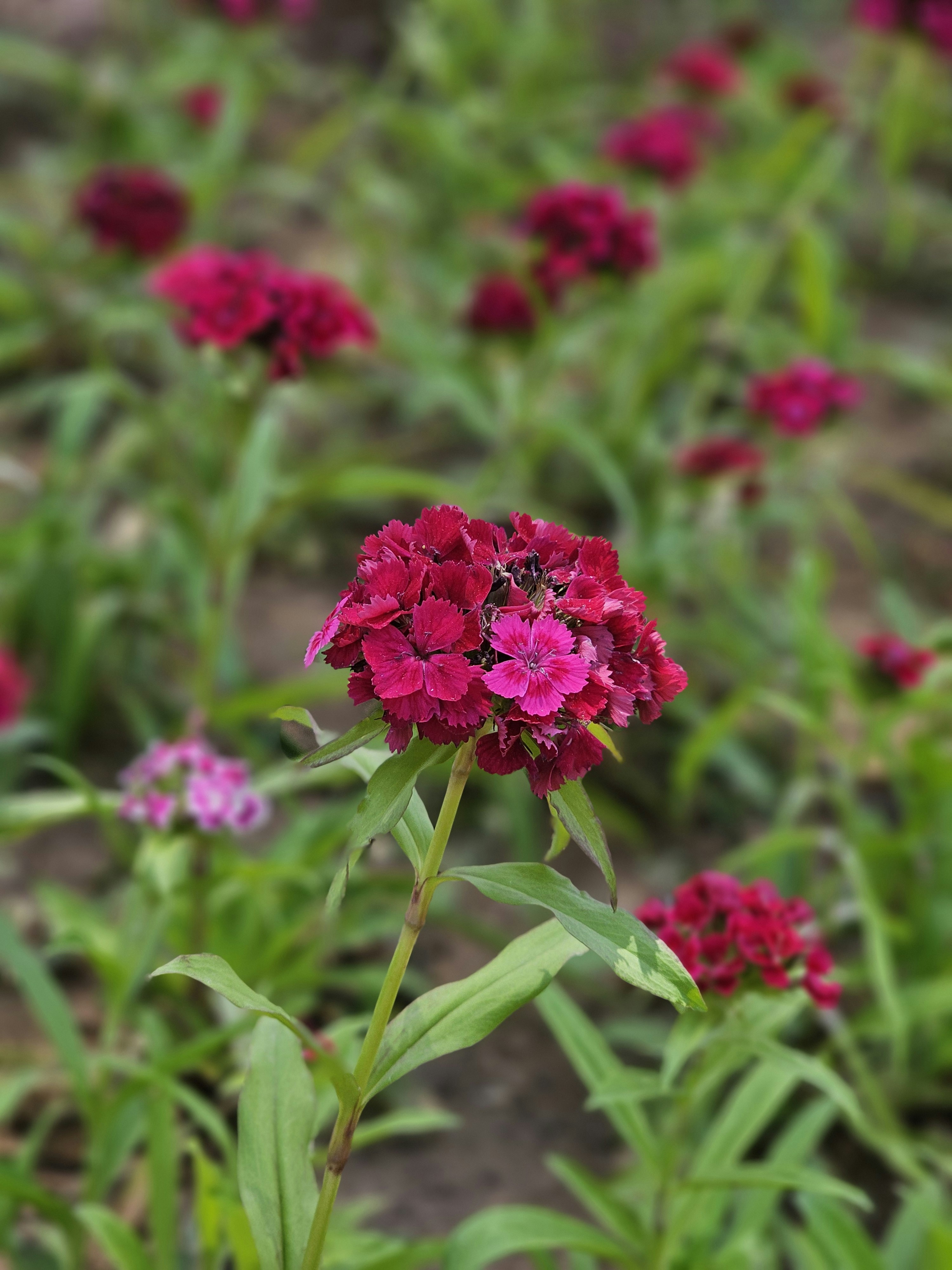 Photo by rishabhnimje