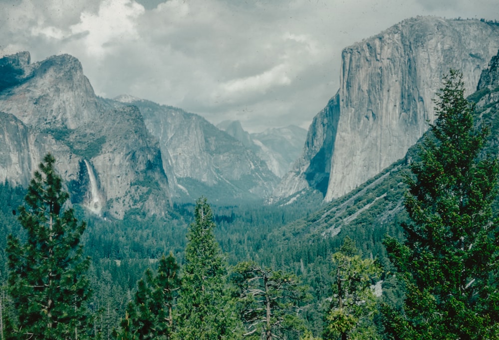 a view of a mountain range with trees in the foreground