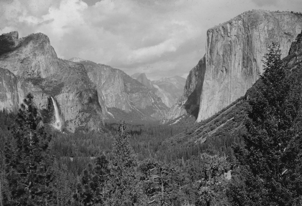 a black and white photo of mountains and trees