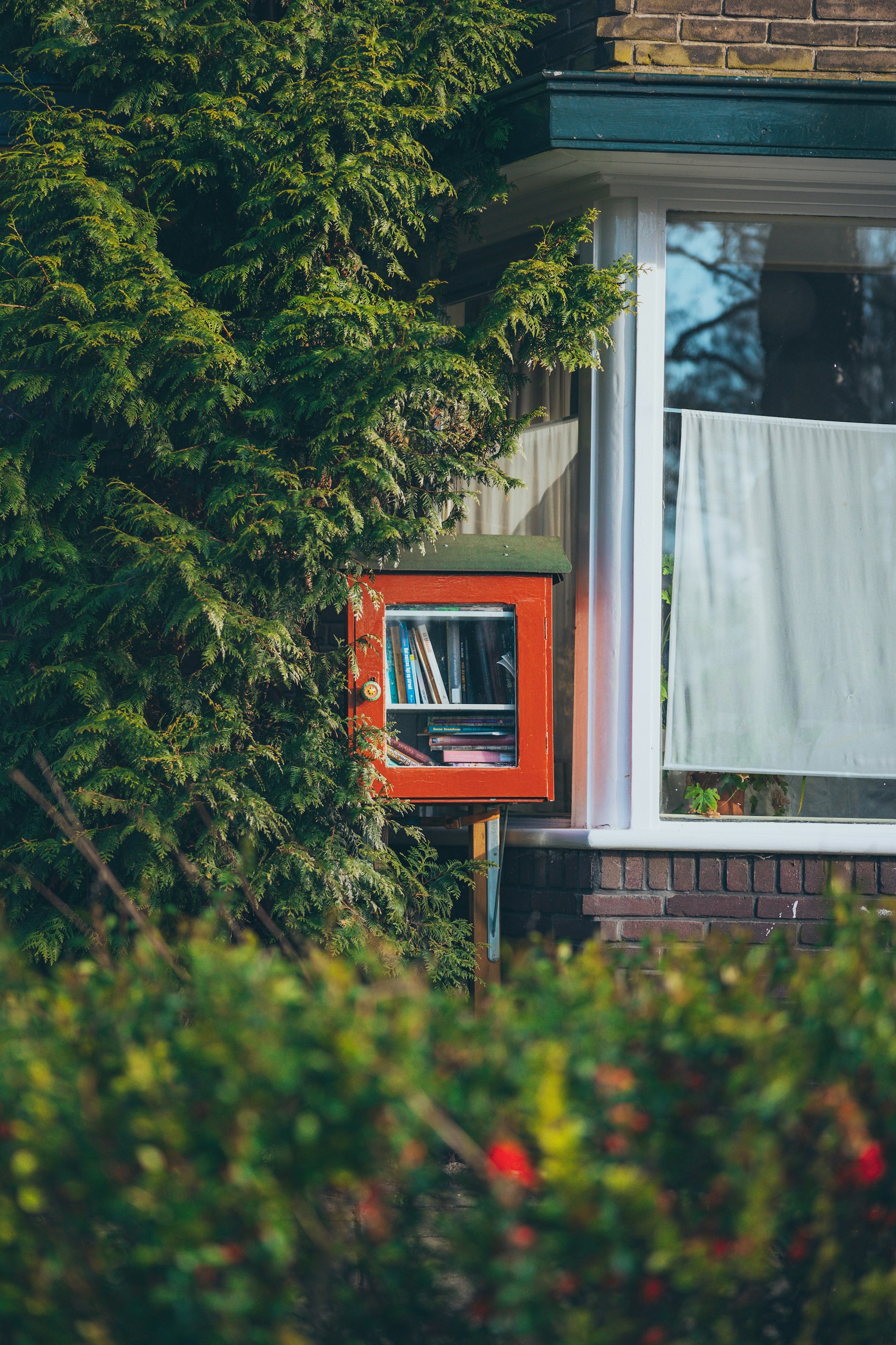 a window with a book shelf in the middle of it