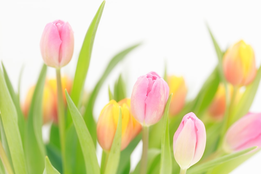 a bunch of pink and yellow tulips in a vase