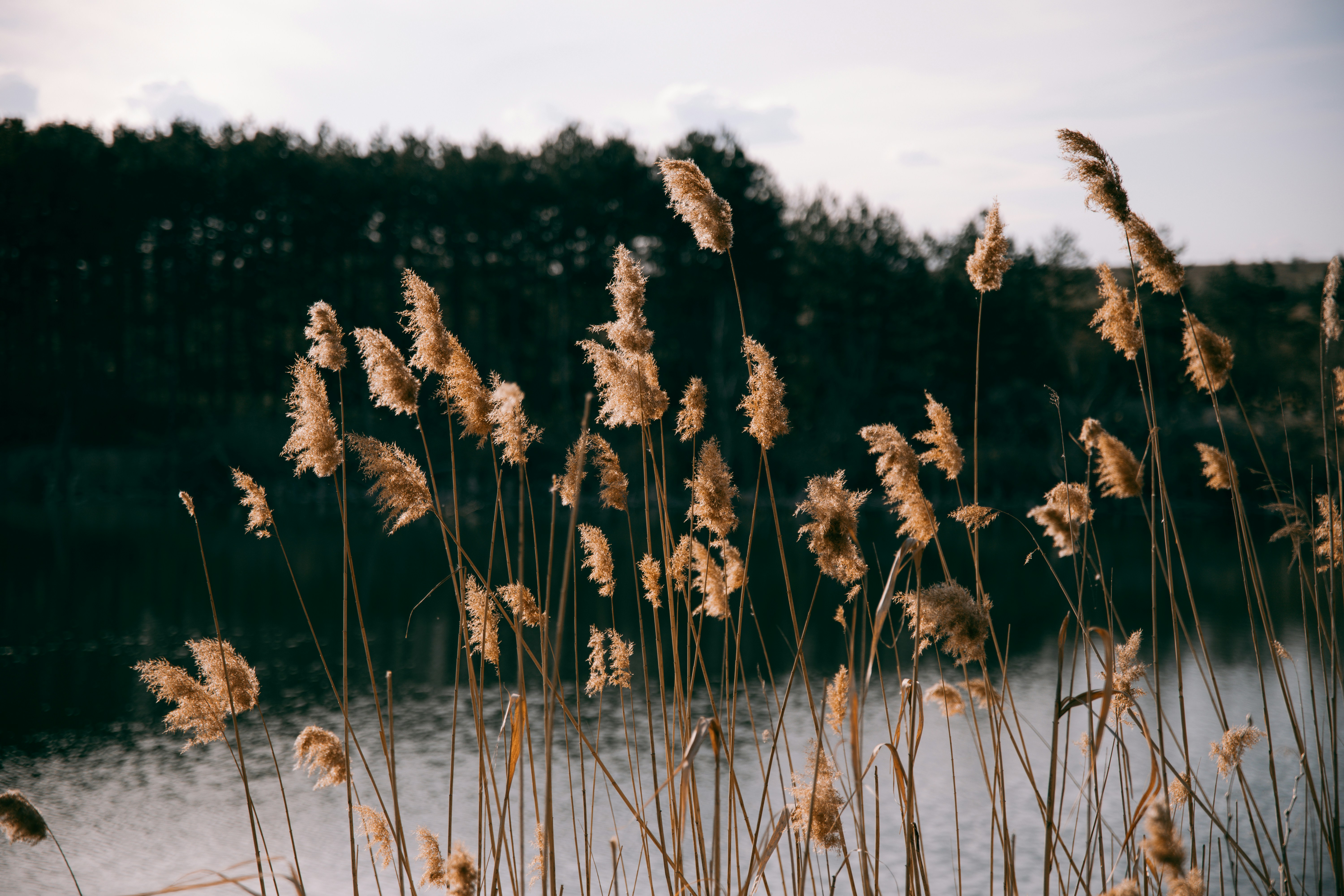 Photo by andreevaleksandar