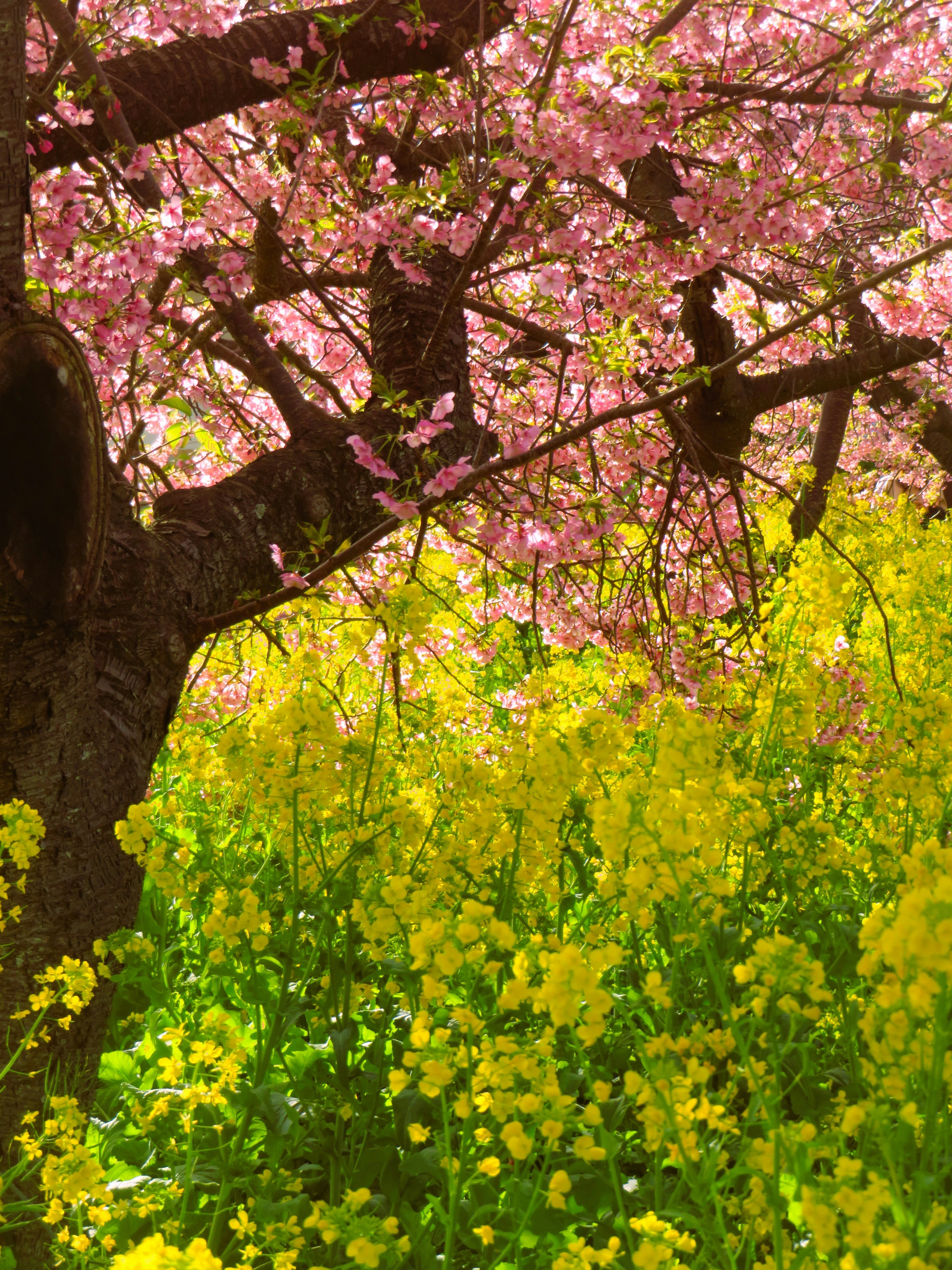 Photo by nolla_photos