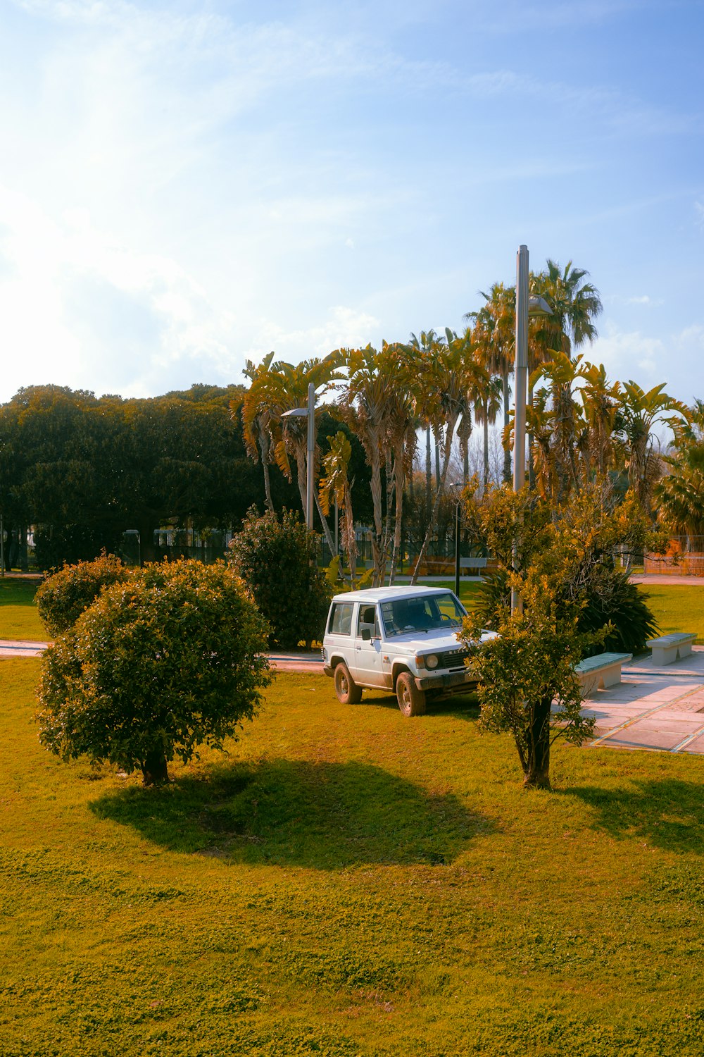 a van is parked in the grass near some trees