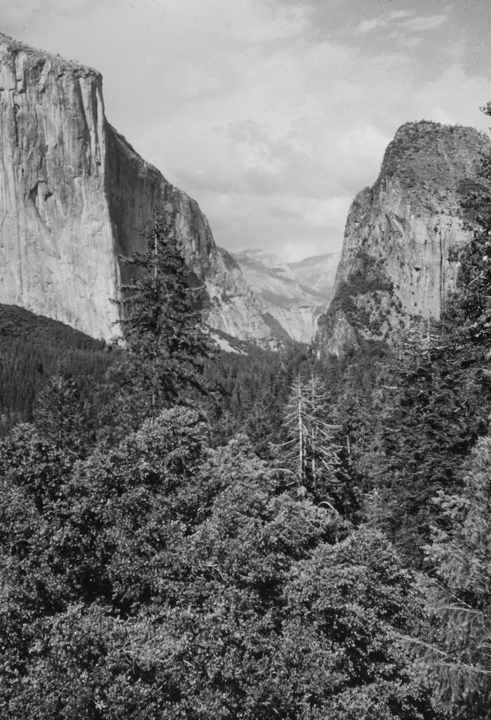 a black and white photo of mountains and trees