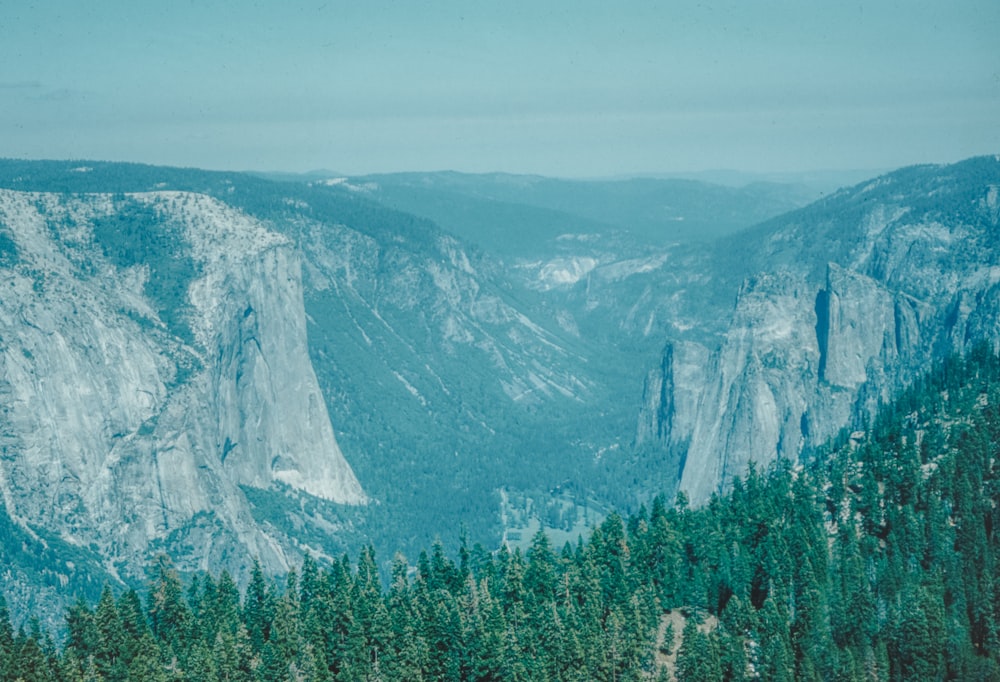 a view of the mountains and trees from the top of a mountain