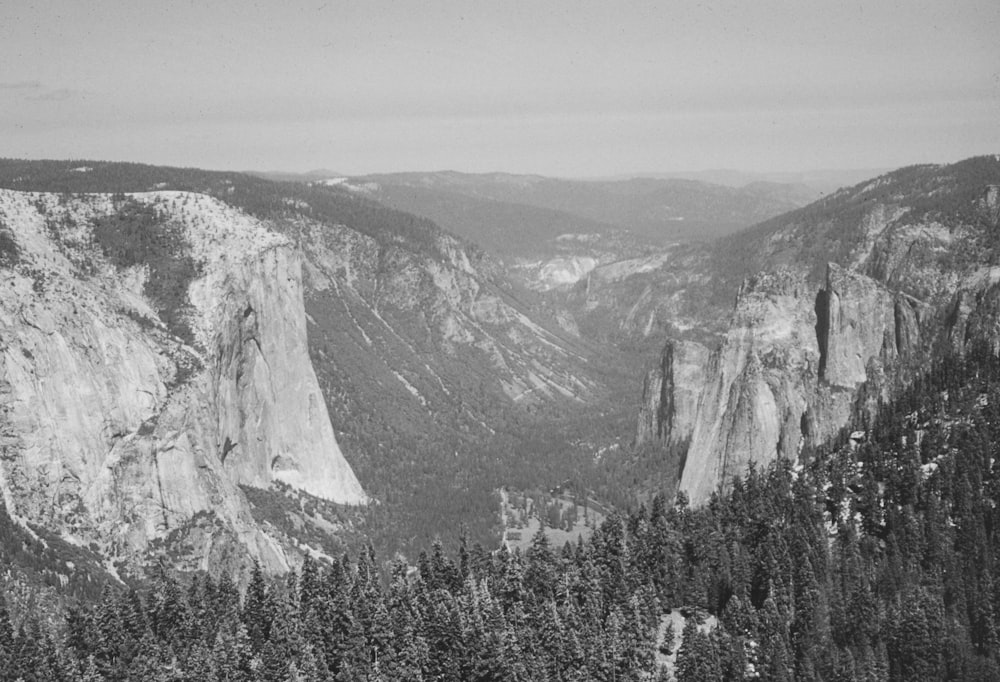 a black and white photo of mountains and trees