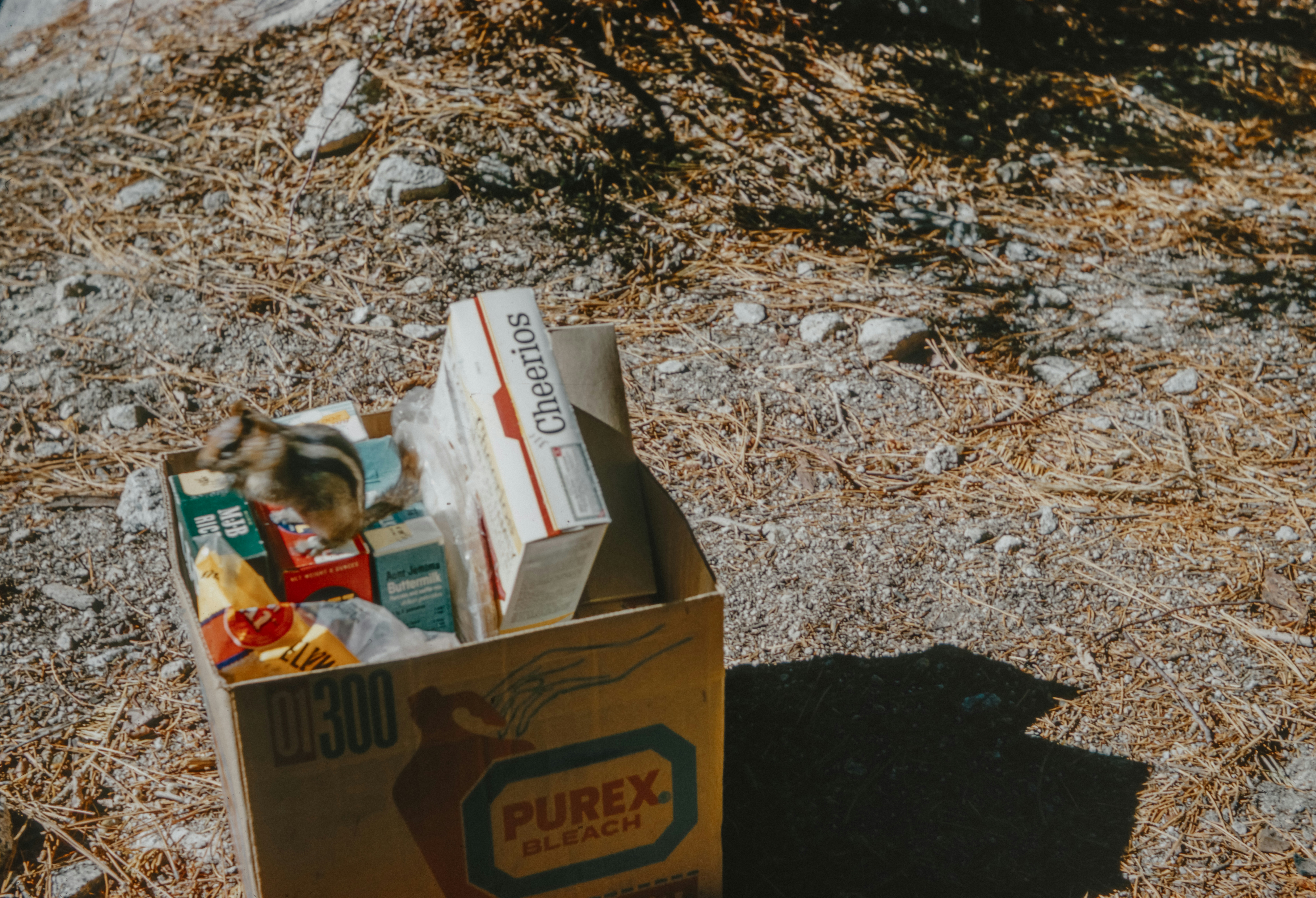 donation drive box filled with supplies like canned goods and cleaning products