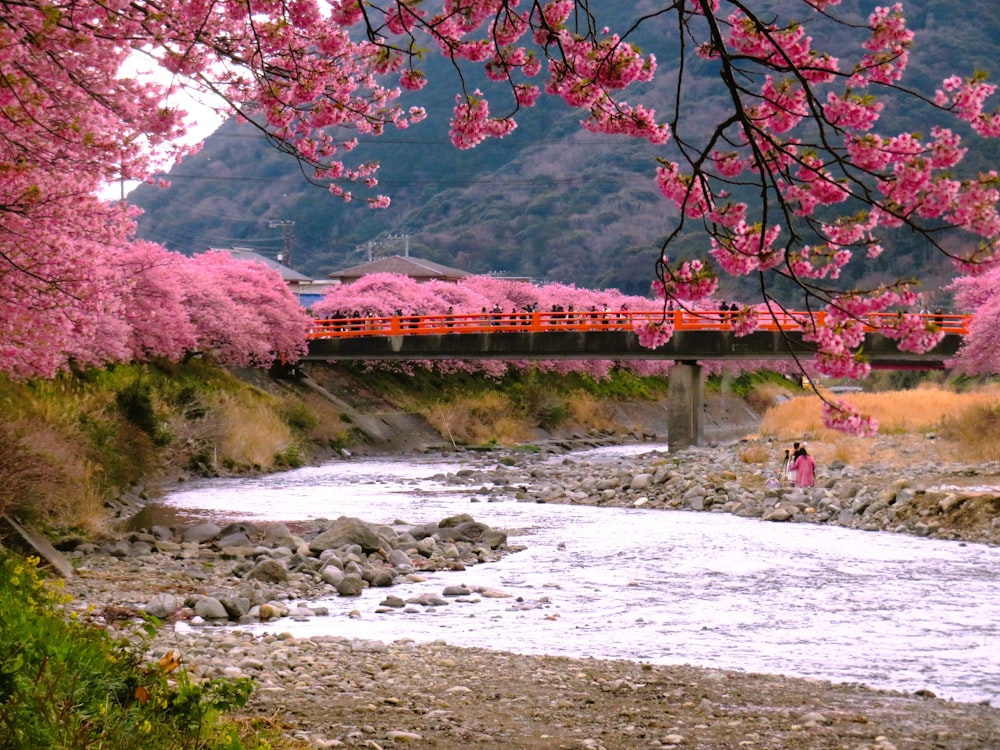 a train traveling over a bridge over a river