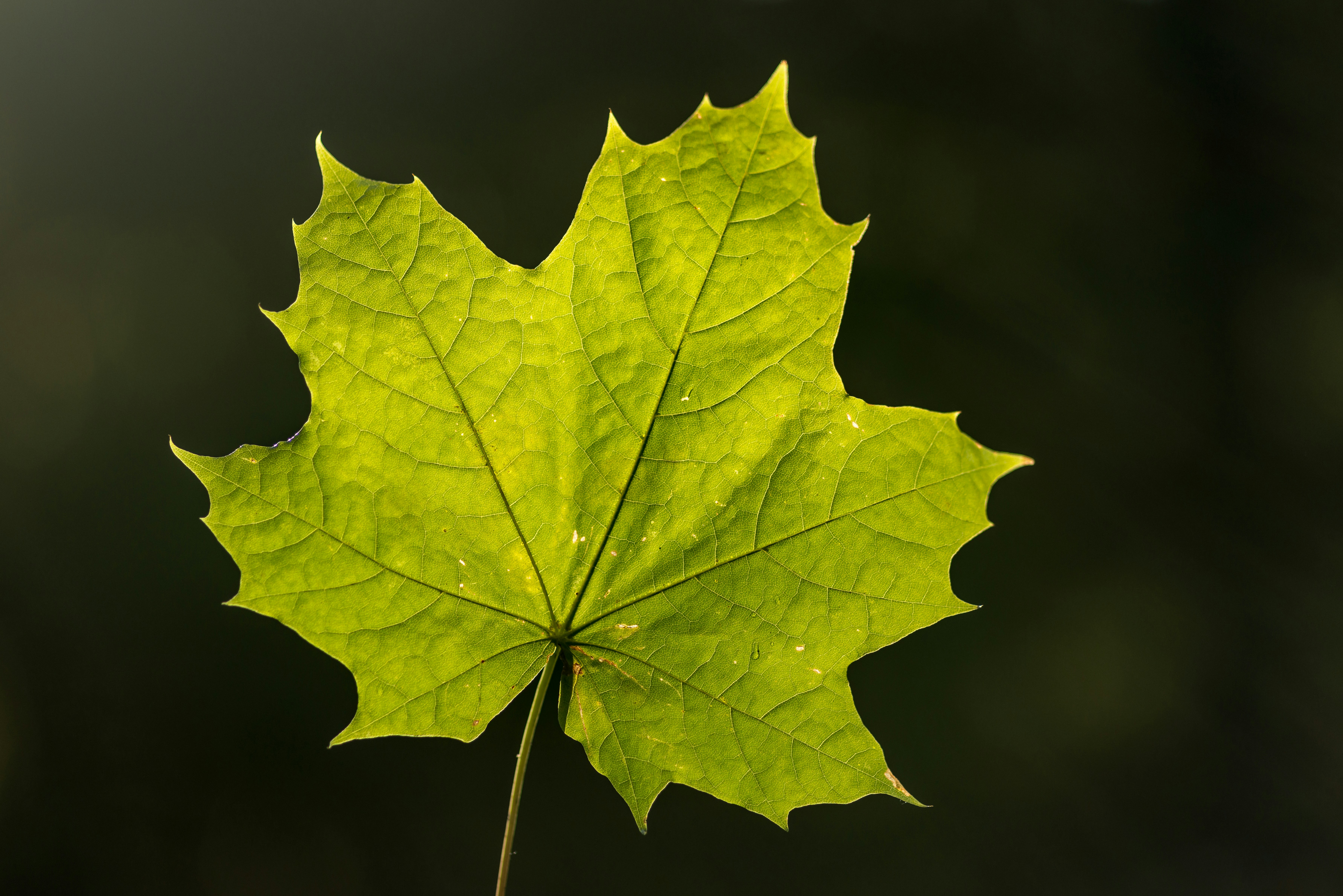 Photo by hamburgmeinefreundin