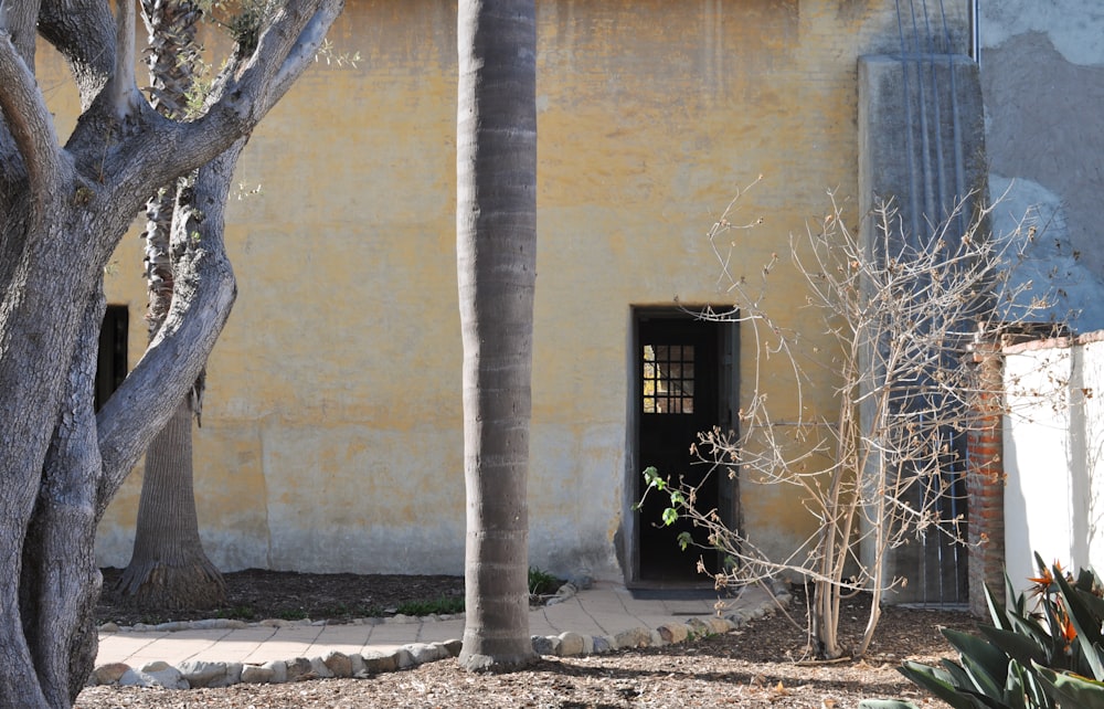 a building with a door and a tree in front of it