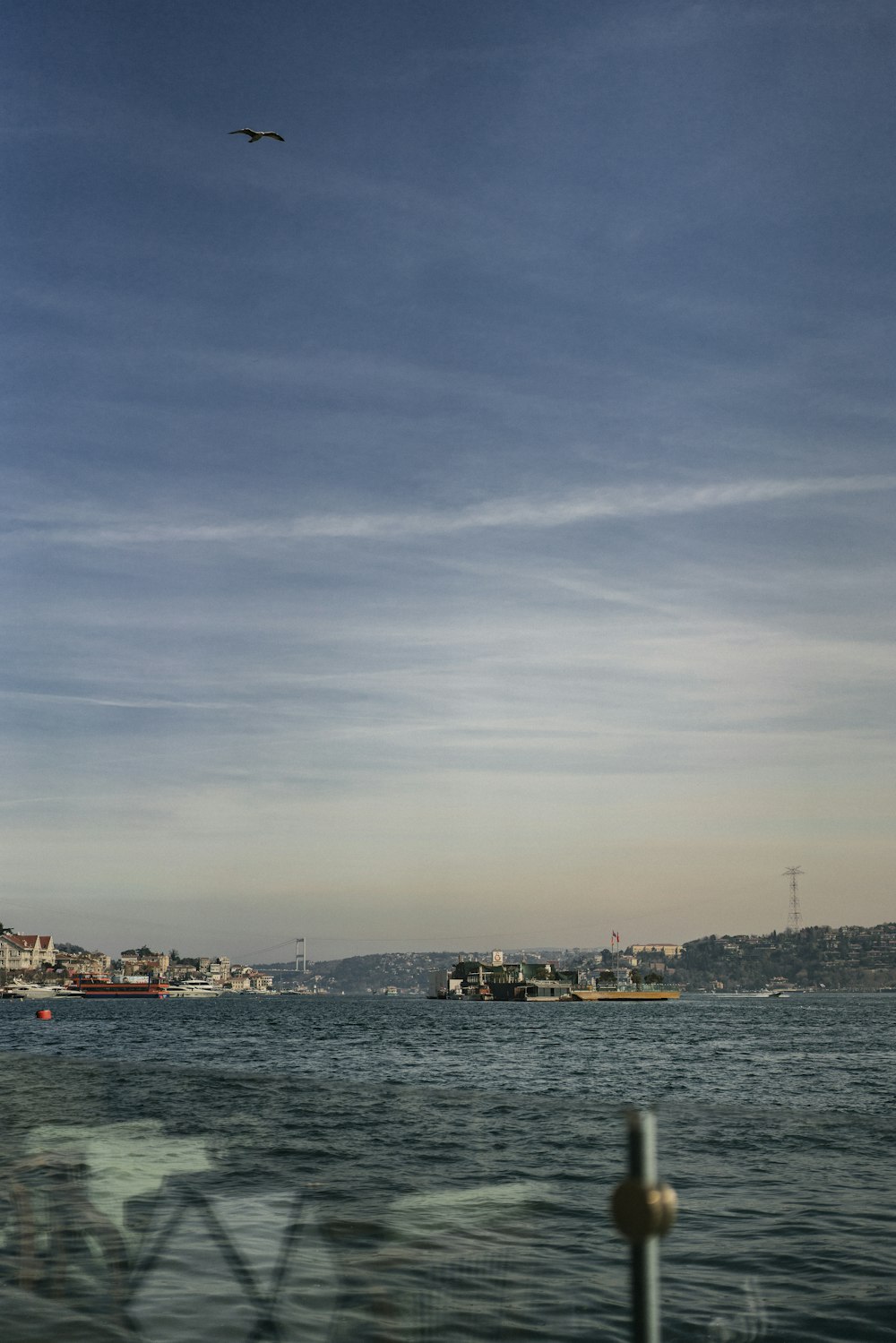 a bird flying over a body of water