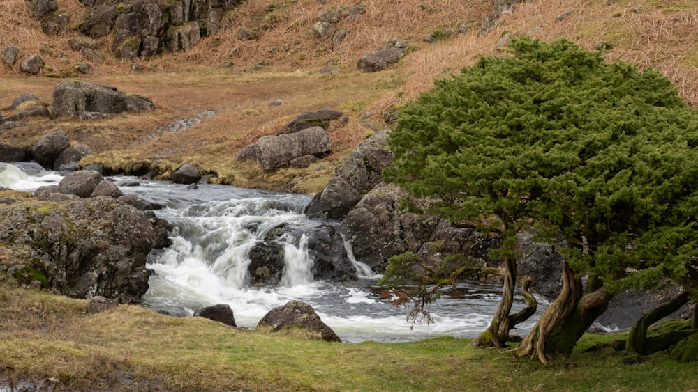 a river running through a lush green hillside