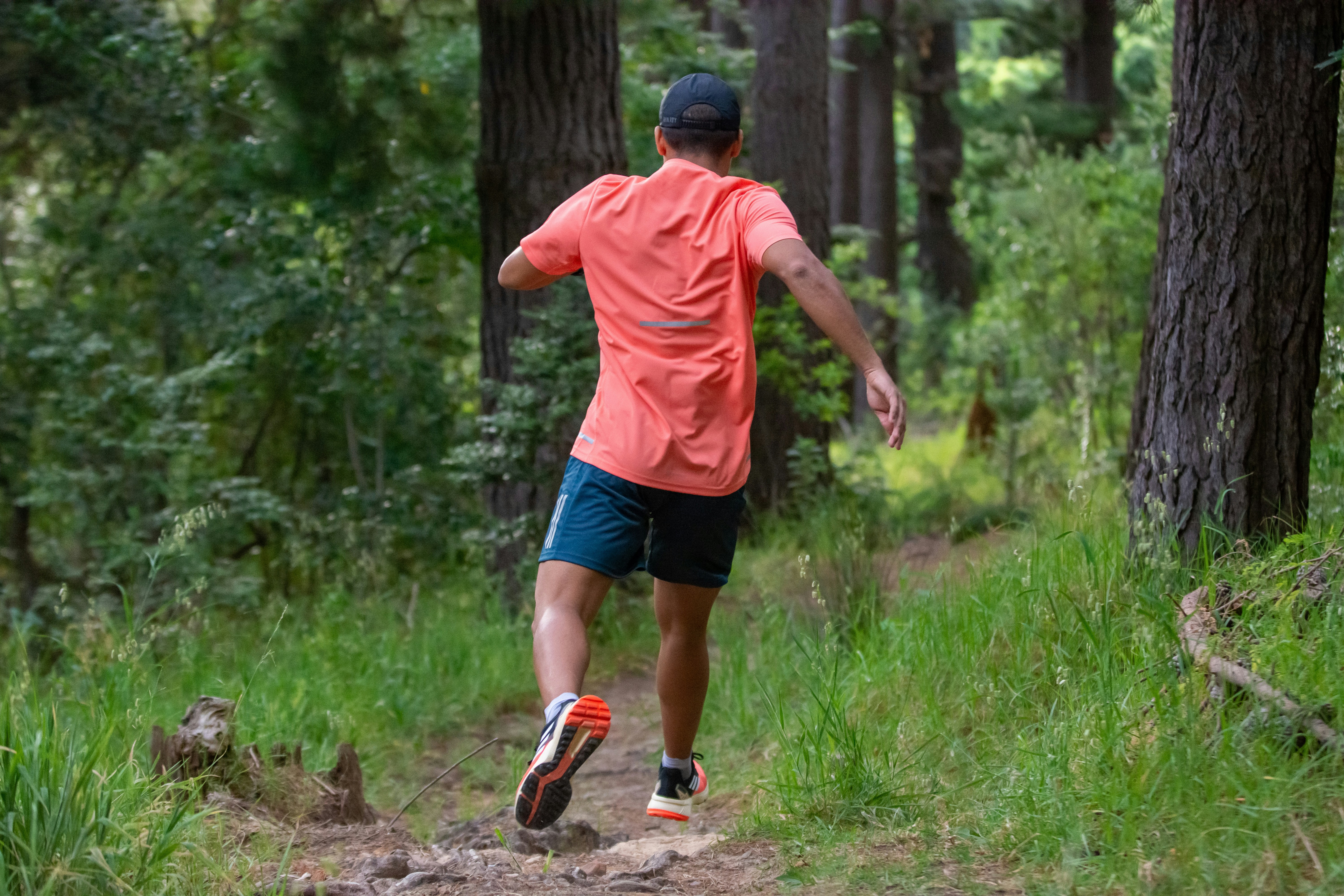 Super Simplified: Spooky runs, housing milestones and A+ parks