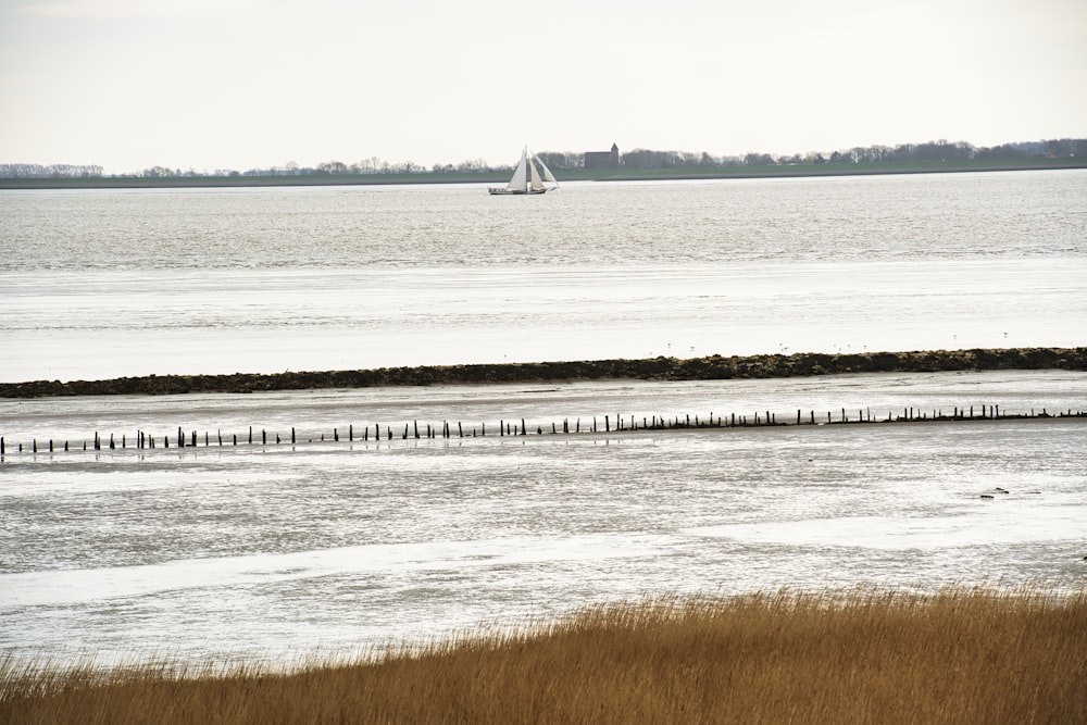 a large body of water with a sailboat in the distance