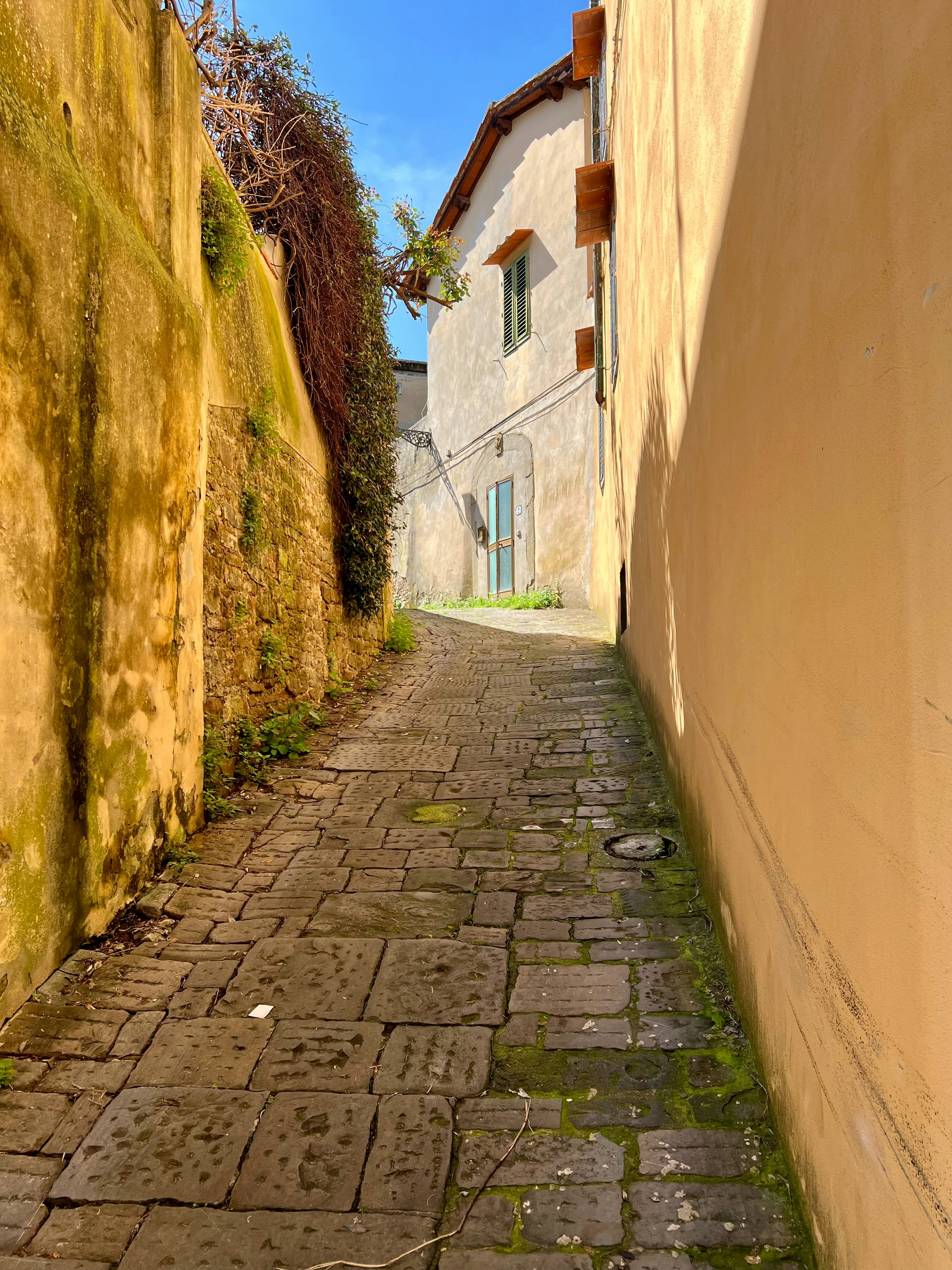 Paint and Wander Italy's image