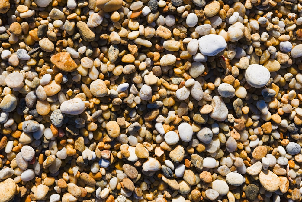 a bunch of rocks that are on the ground