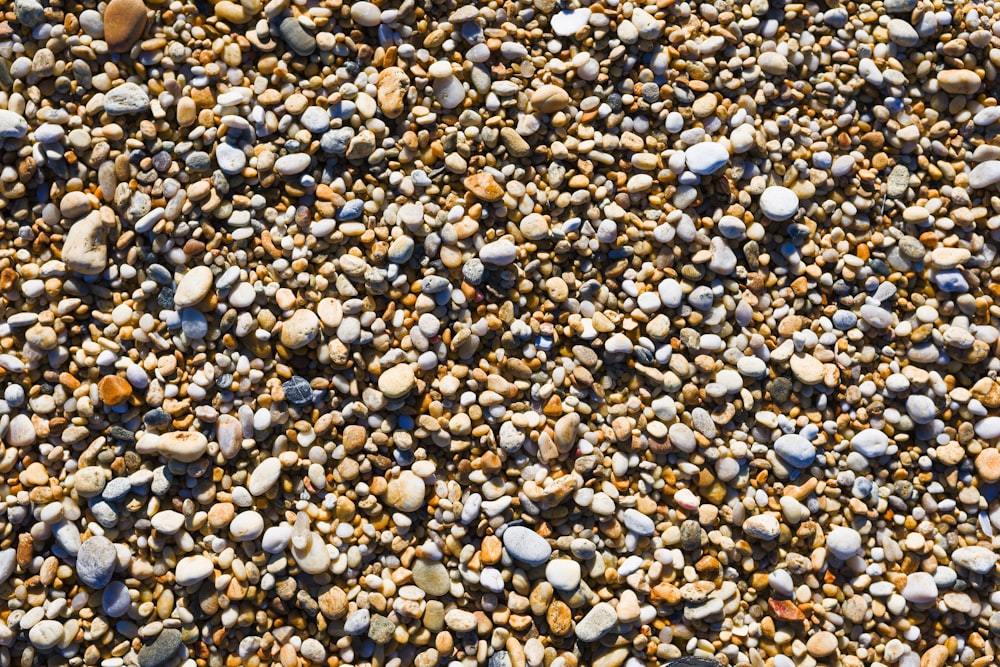 a bunch of rocks that are on the ground