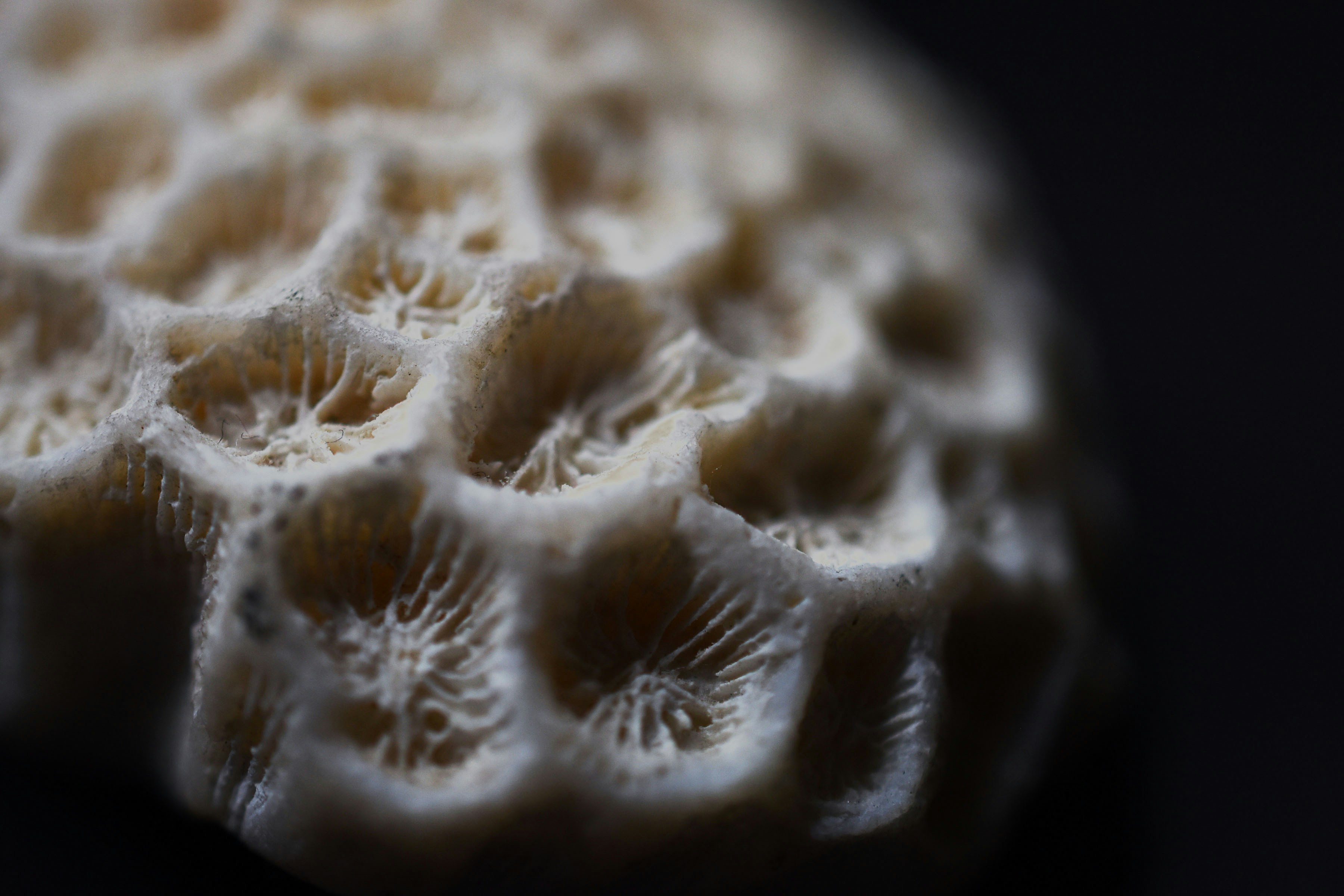 Photo by julia_fiander