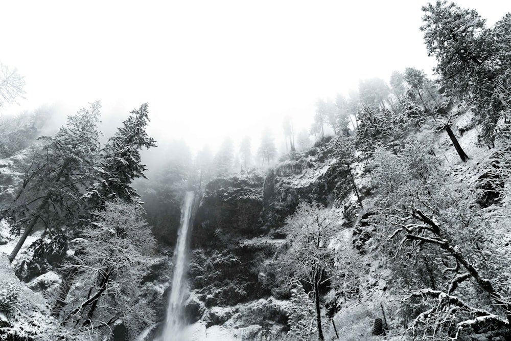 a waterfall in the middle of a forest covered in snow