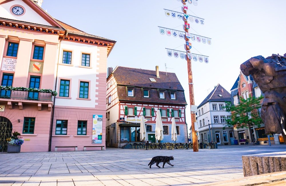 a black dog walking across a street next to tall buildings