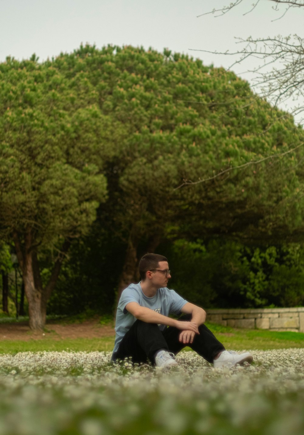 un homme assis sur le sol devant un arbre