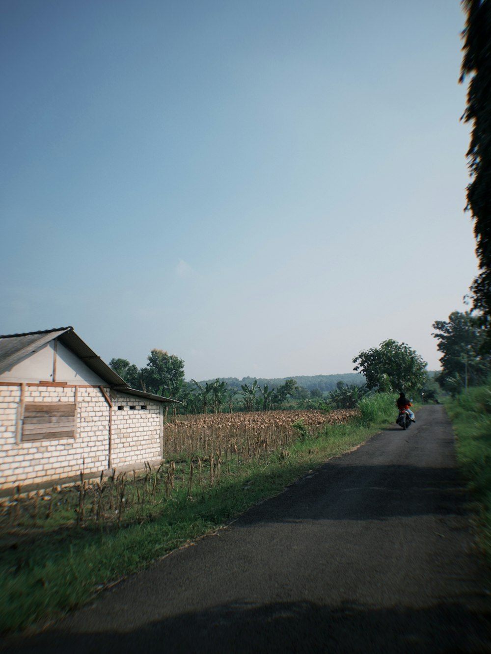 a person riding a motorcycle down a country road