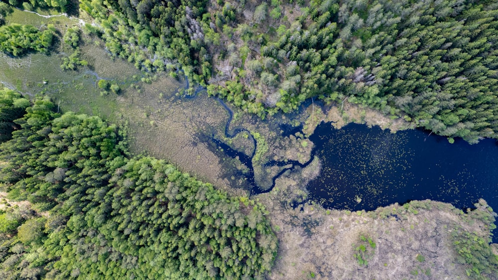 an aerial view of a lake surrounded by trees