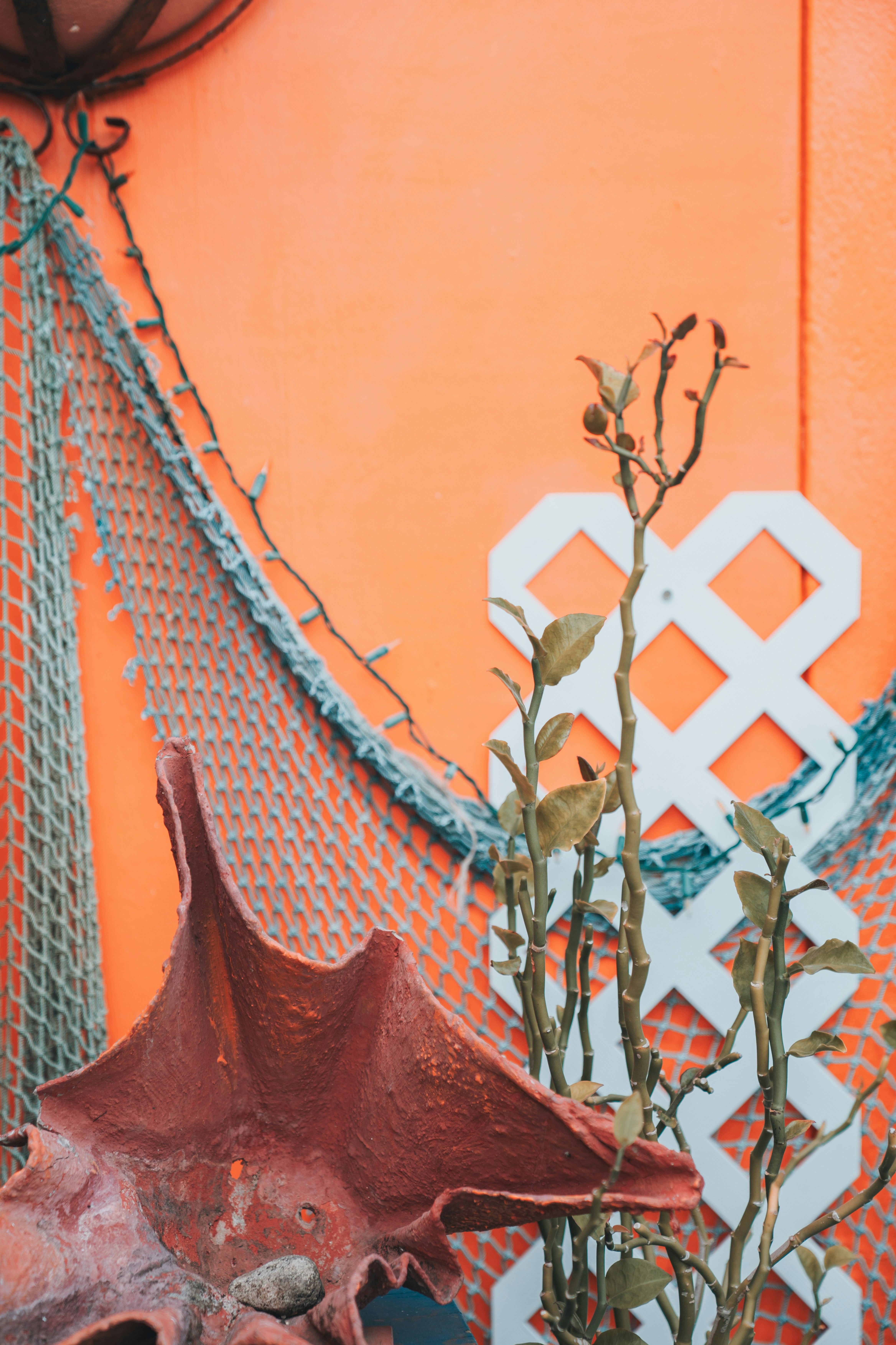 un vase avec une plante à l’intérieur à côté d’un mur