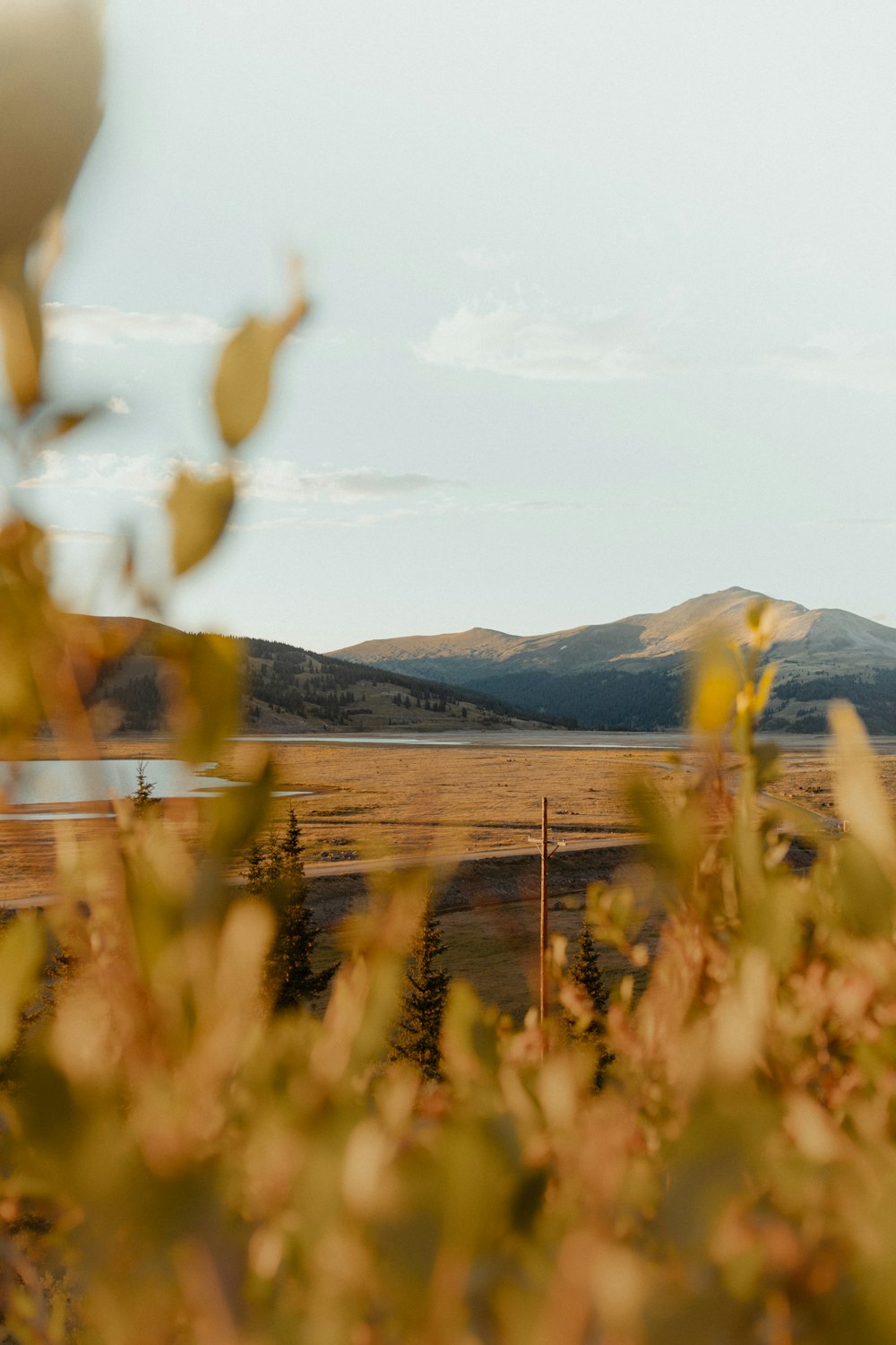 a view of a field with mountains in the background