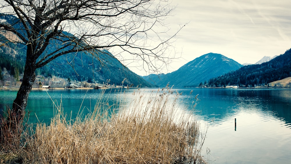 a body of water surrounded by mountains and trees