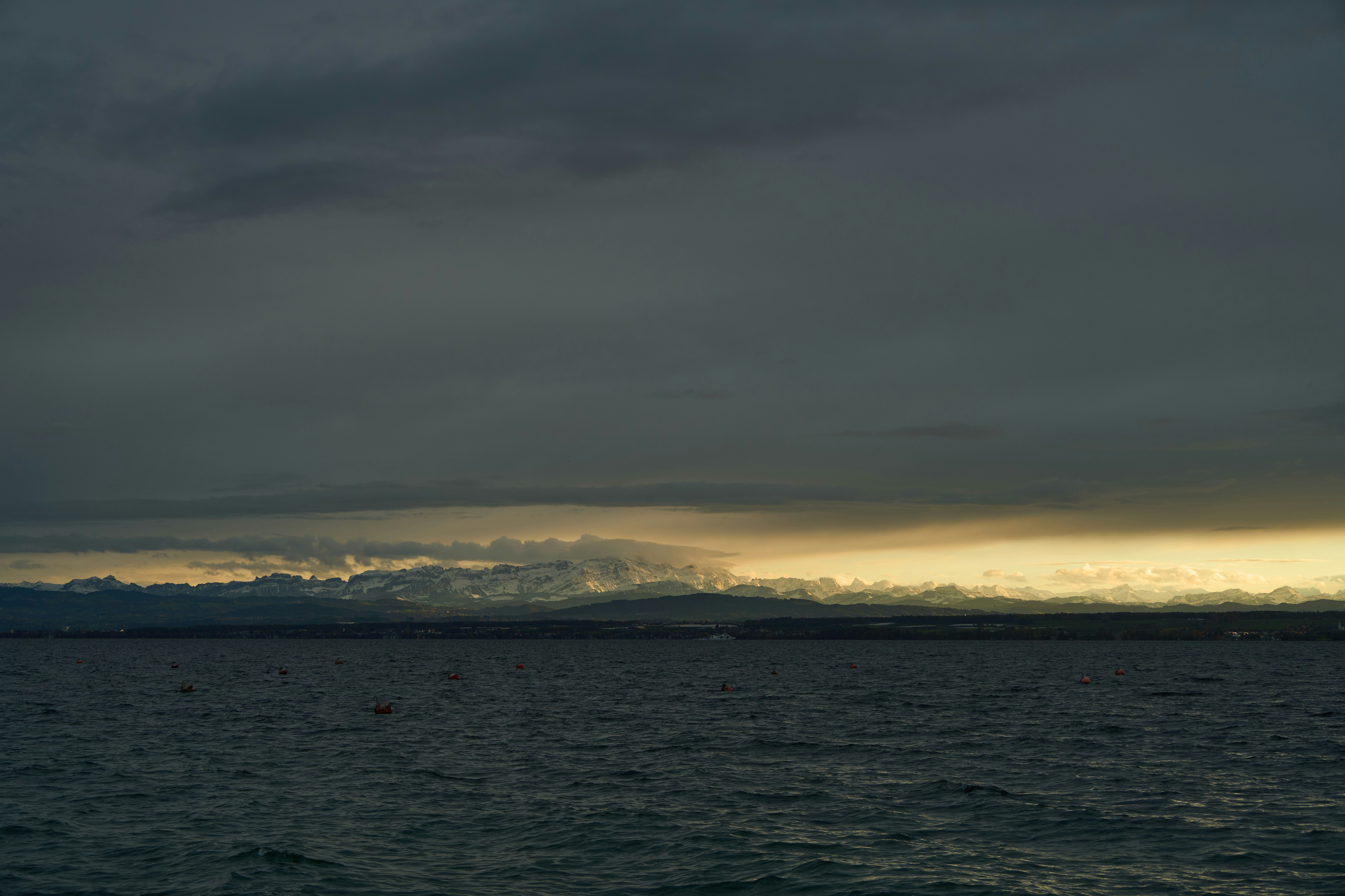 Photo by wolfgang_hasselmann