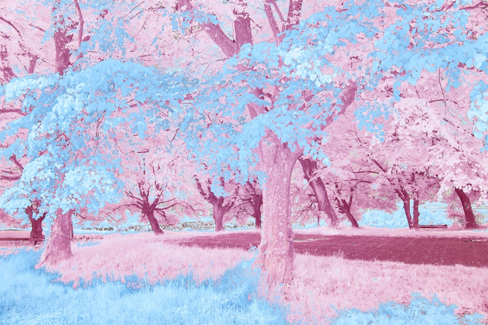 uma pintura de uma árvore rosa e azul em um parque