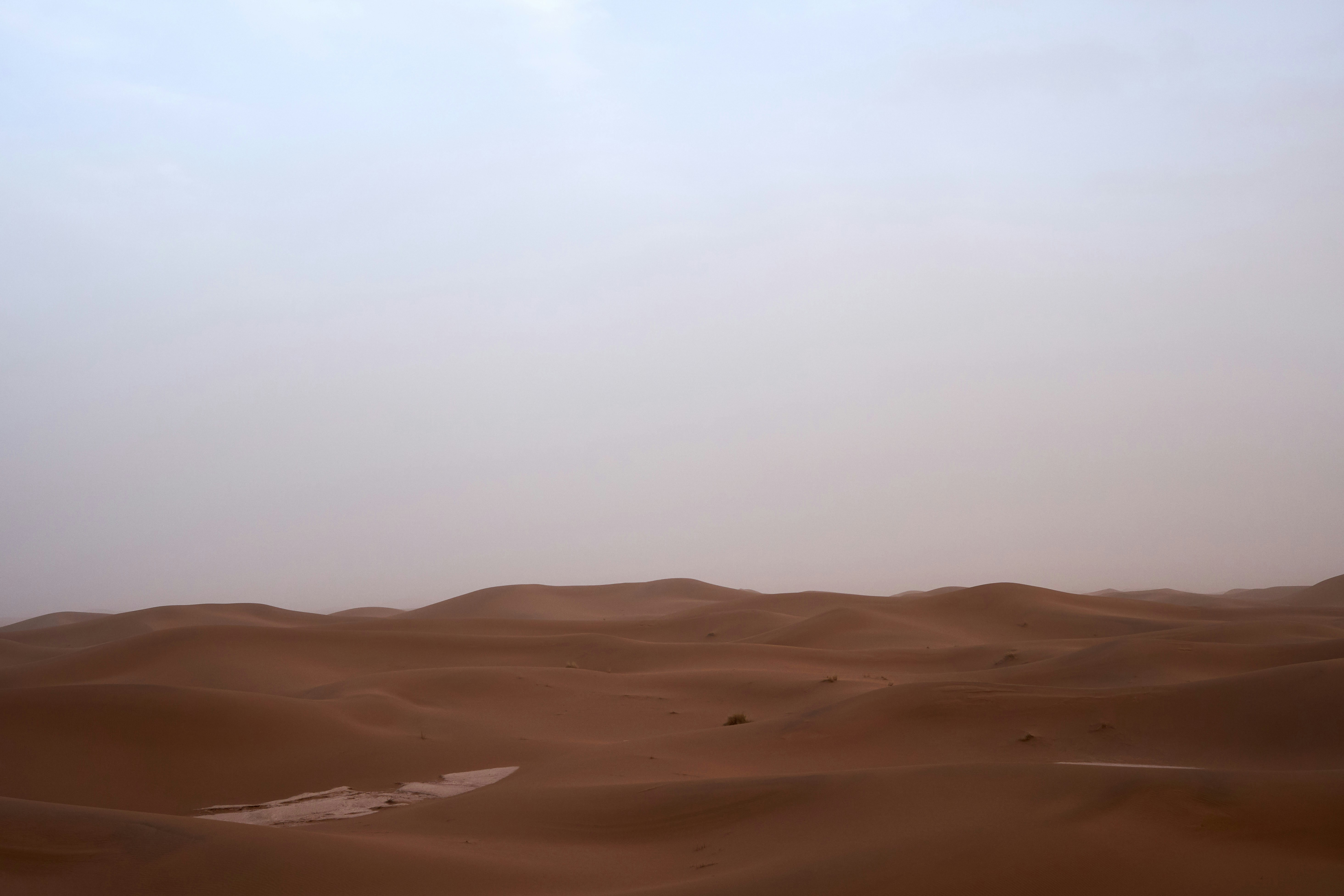 Photo by wolfgang_hasselmann