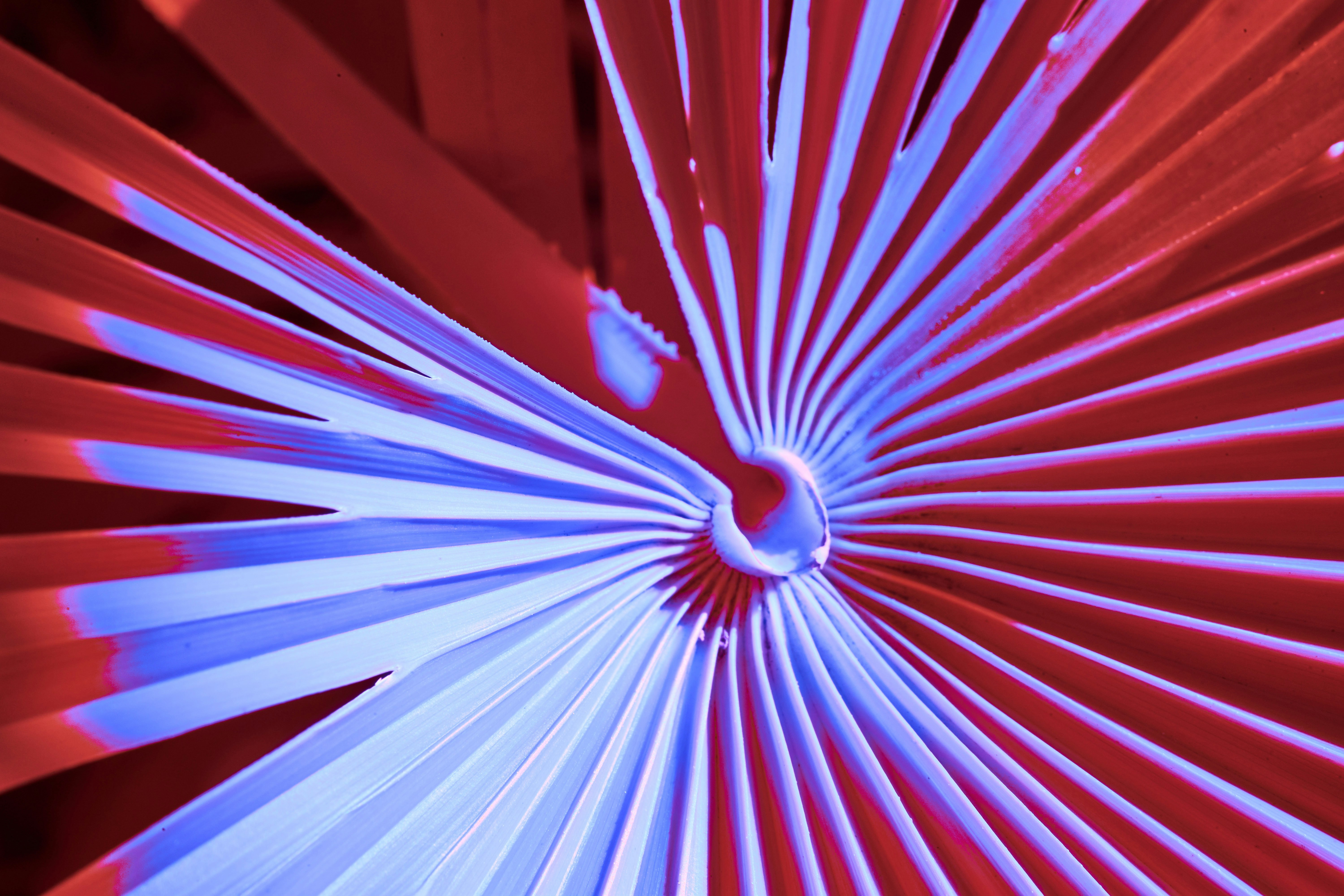 Photo by wolfgang_hasselmann