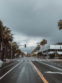 an empty street with palm trees and a traffic light