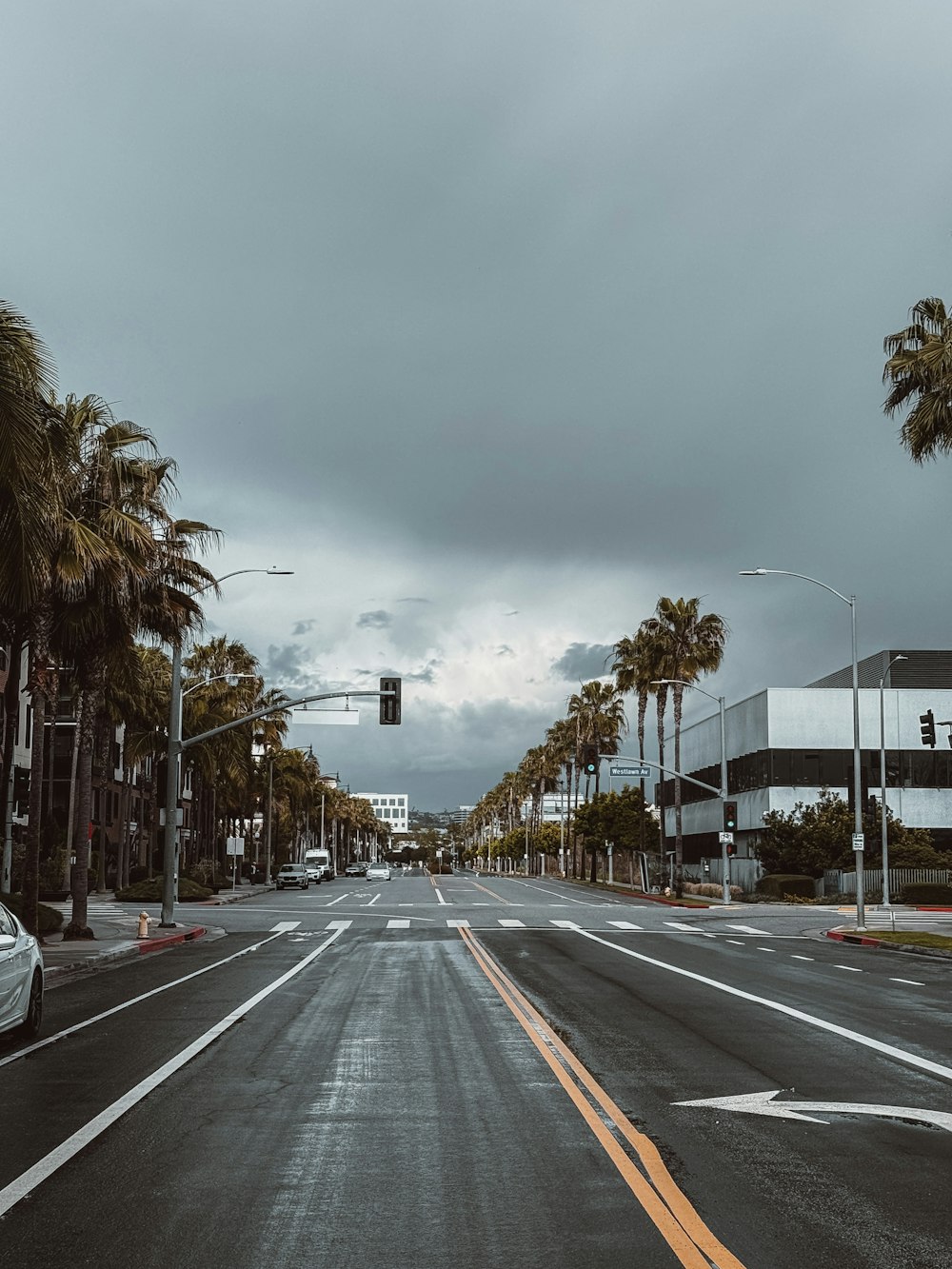 an empty street with palm trees and a traffic light