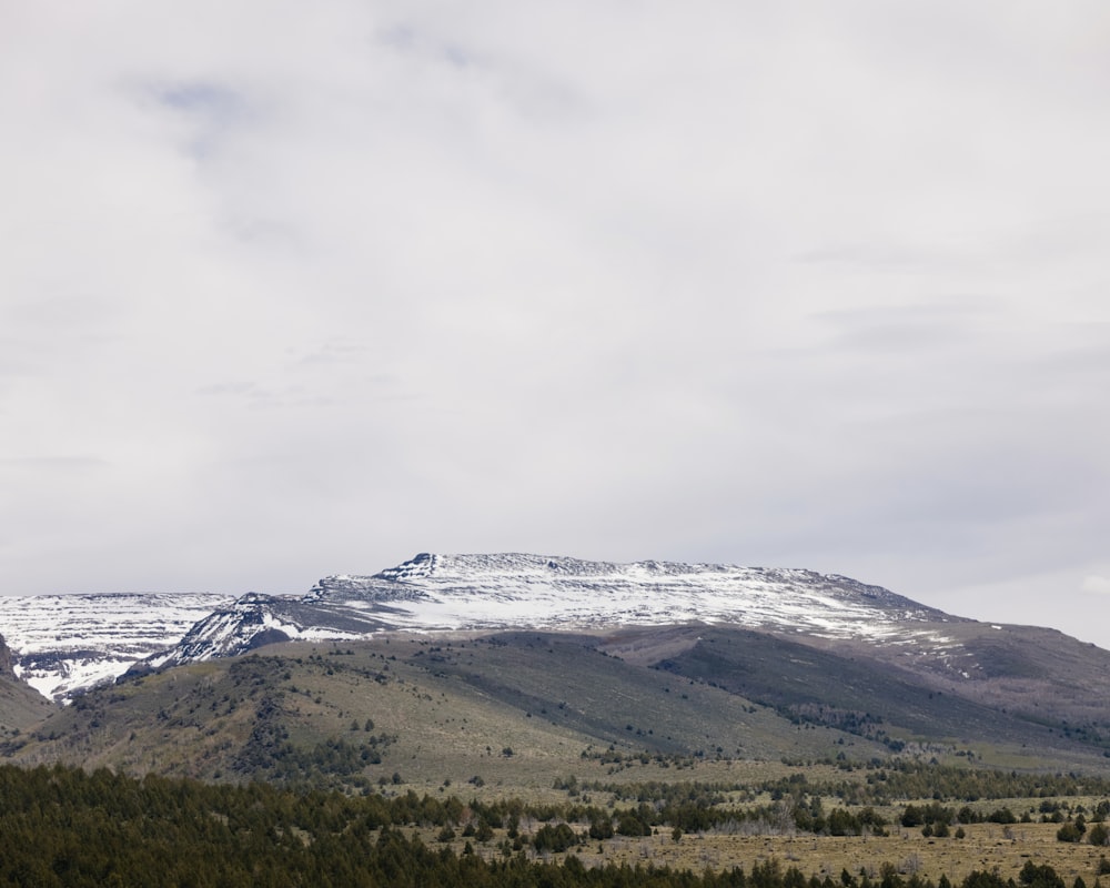 a snow covered mountain range with trees in the foreground