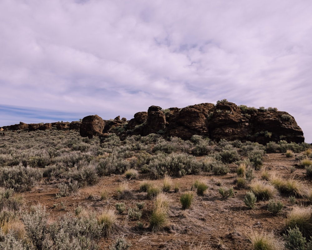 a rocky outcropping in the middle of a desert