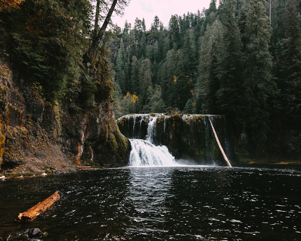 a waterfall in the middle of a forest